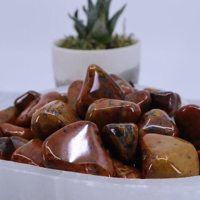 Tigers Skin Tail Jasper - Tumbled