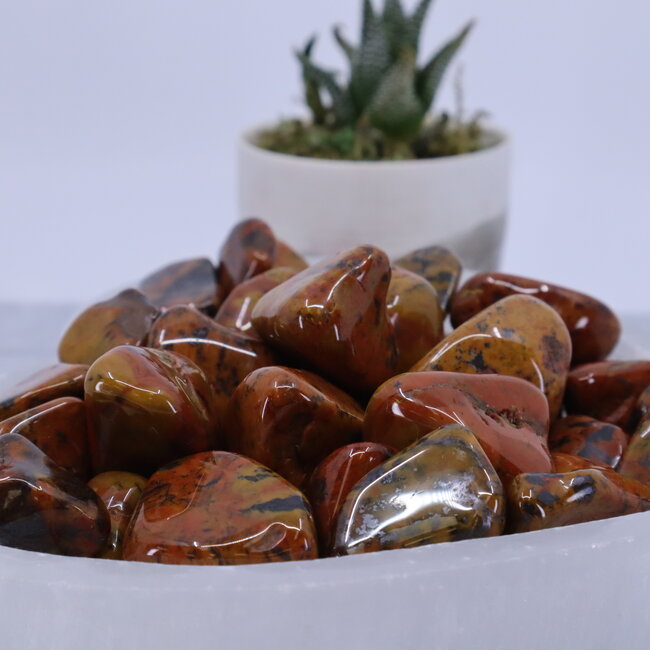Tigers Skin Tail Jasper - Tumbled