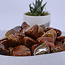 Tigers Skin Tail Jasper - Tumbled