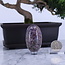 Red Ruby Eggs - Small 1" with Acrylic Sphere Stand