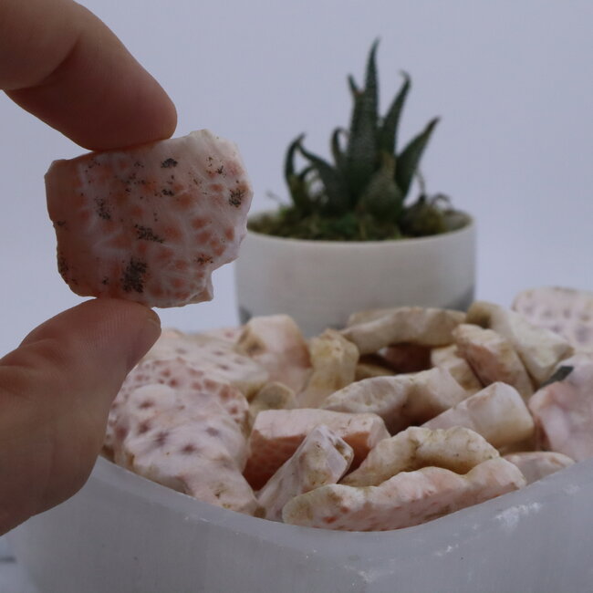 Pink Natrolite (Rhodatrolite Thomsonite Pink Larimar) -  Rough Raw Natural