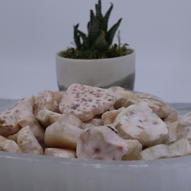 Pink Natrolite (Rhodatrolite Thomsonite Pink Larimar) -  Rough Raw Natural