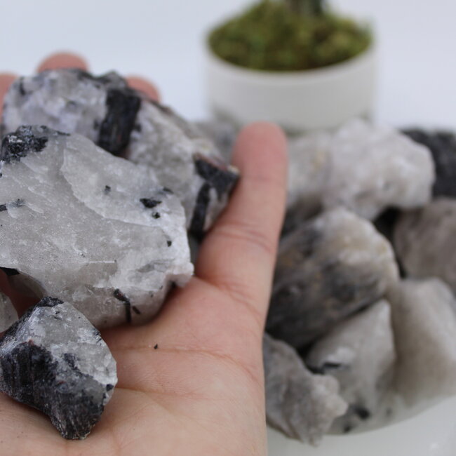 Black Tourmaline in Clear Quartz (Tourmalated Tourmalinated Rutilated Quartz) - Medium Rough Raw Natural
