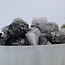 Black Tourmaline in Clear Quartz (Tourmalated Tourmalinated Rutilated Quartz) - Medium Rough Raw Natural