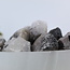 Black Tourmaline in Clear Quartz (Tourmalated Tourmalinated Rutilated Quartz) - Medium Rough Raw Natural