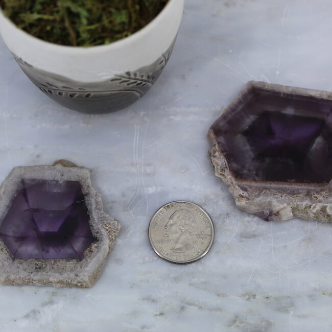 Trapiche Amethyst (Amazon Rainforest) Slabs - Medium Flat