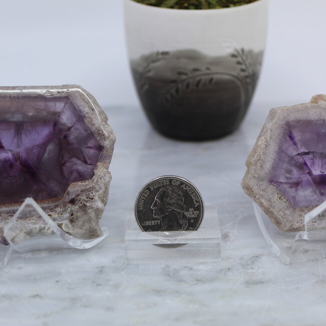 Amethyst (Amazon Rainforest) Slab-Medium