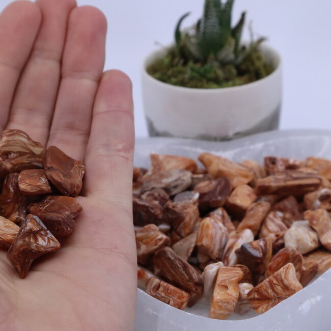 Redwood Opal - Tumbled