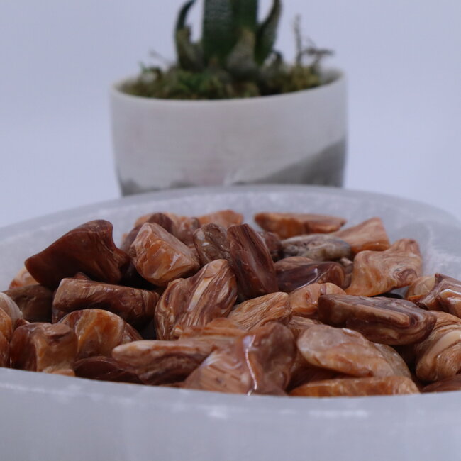 Redwood Opal - Tumbled