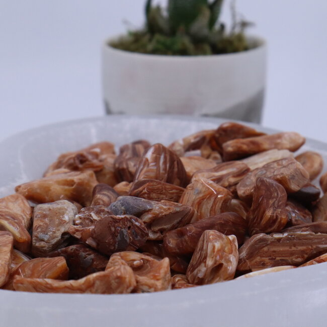 Redwood Opal - Tumbled