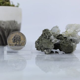 Blue Barite on Pyrite-Large-Natural Rough Raw