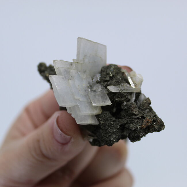Blue Barite on Pyrite Medium Natural Rough Raw