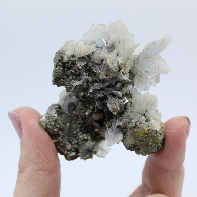 Blue Barite on Pyrite - Large Natural Rough Raw
