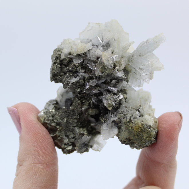 Blue Barite on Pyrite-Large-Natural Rough Raw