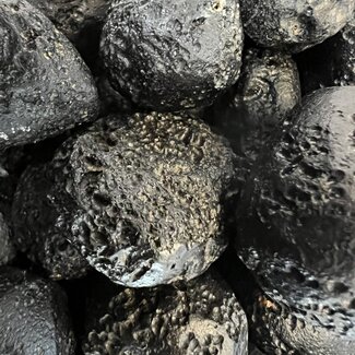Tektite Tumbled - XL Extra Large