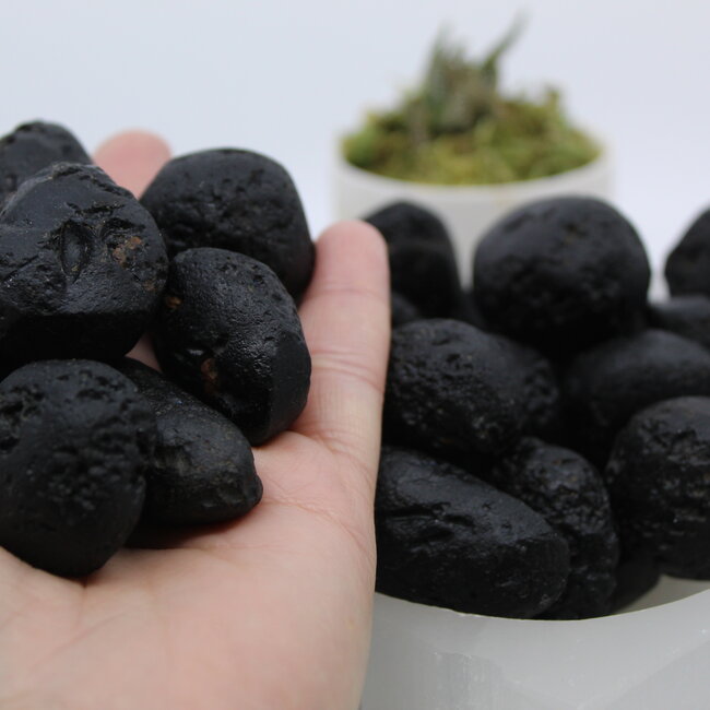 Tektite Tumbled - XL Extra Large