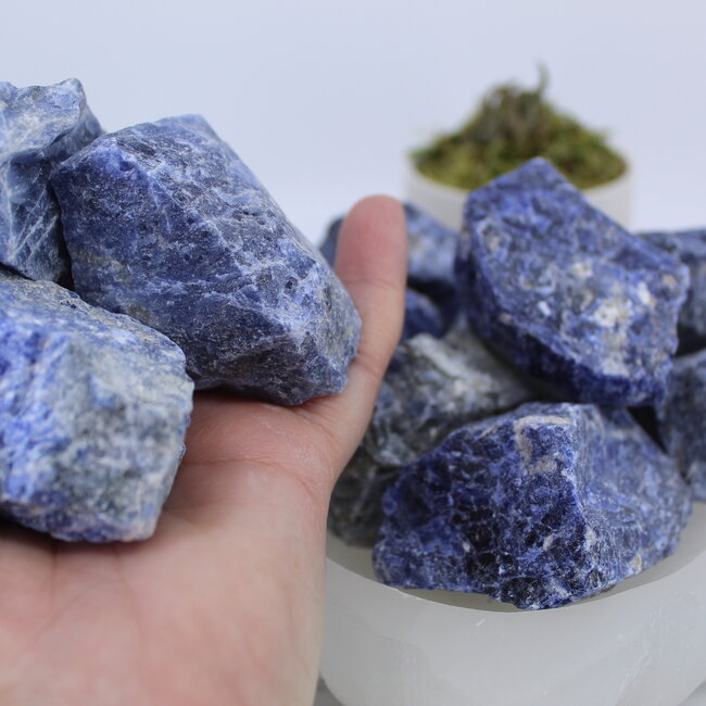 Sodalite - XL Extra Large Rough Raw Natural