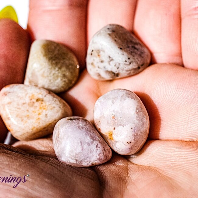 Wyoming Jade Zoisite - Tumbled