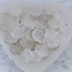 Clear (Crystal) Quartz Flat Stone - Mini Oval (1") Slice Slab