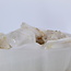 Lemurian (Lumerian) Quartz - Medium (2") Rough Raw Natural Clear Quartz