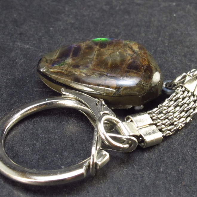 Ammolite/Ammonite Keychain - 3.4"