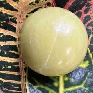 Lemon Yellow Jade Sphere Orb - 65mm