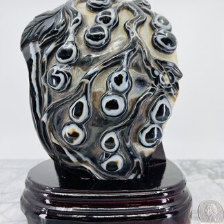 Black Agate Plant Sculpture with Wood Stand - 9" Carvings Home Decor Specimen Black Agate Plant Sculpture with Wood Stand - 9" Carvings Home Decor Specimen