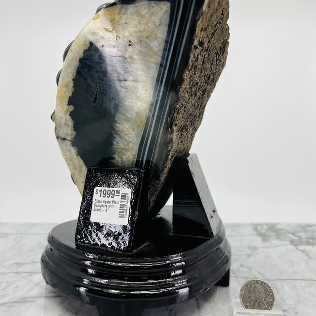 Black Agate Plant Sculpture with Wood Stand - 9" Carvings Home Decor Specimen