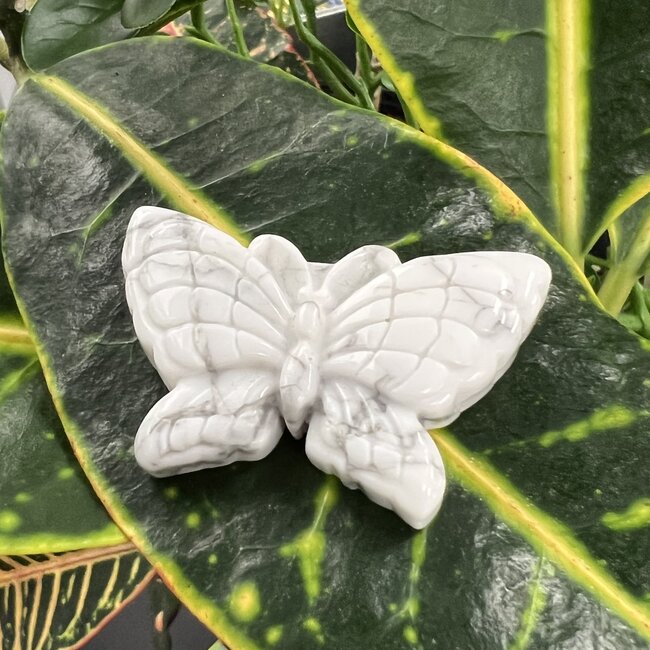 Howlite Butterfly- 2"