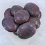Ruby in Kyanite Palm Pillow Pocket Stone (1.5"-2") Large