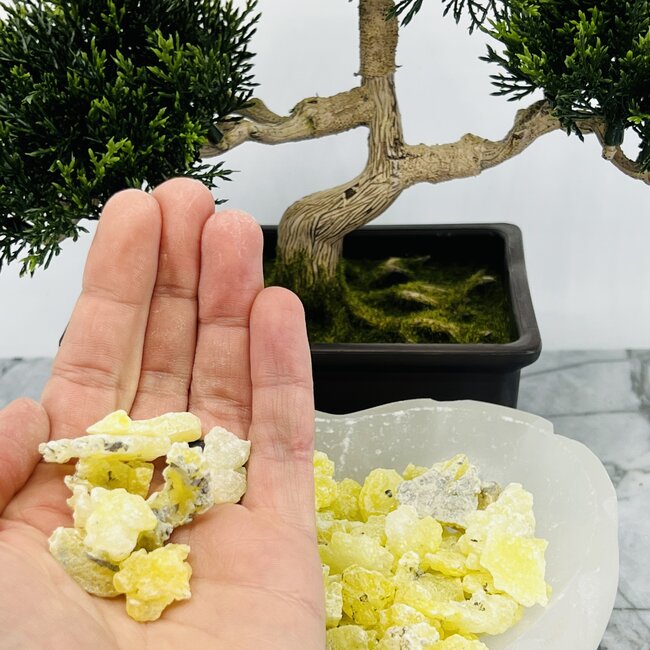 Golden Brucite - Rough Raw Natural