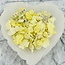 Golden Brucite - Rough Raw Natural