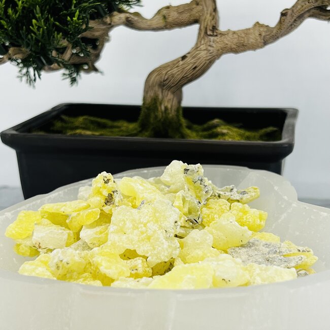 Golden Brucite - Rough Raw Natural