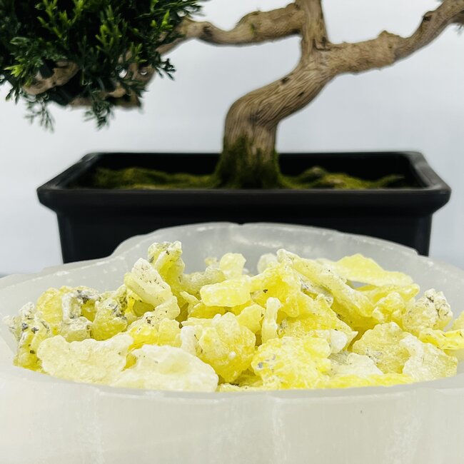 Golden Brucite - Rough Raw Natural