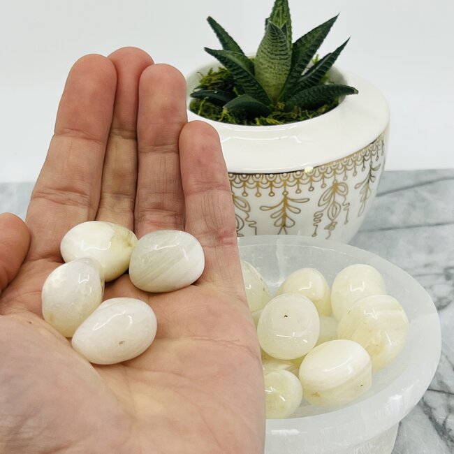 White Agate - Tumbled Snow White - Milky White