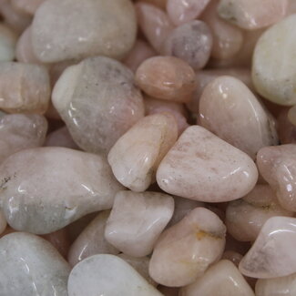 Peach Morganite - Tumbled