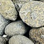 Cumberlandite (Medium) - Tumbled