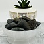 Cumberlandite (Medium) - Tumbled