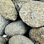 Cumberlandite (Medium) - Tumbled