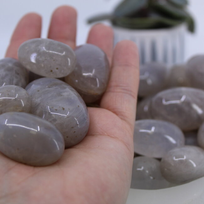 Blue Rose Quartz - Tumbled (Large)