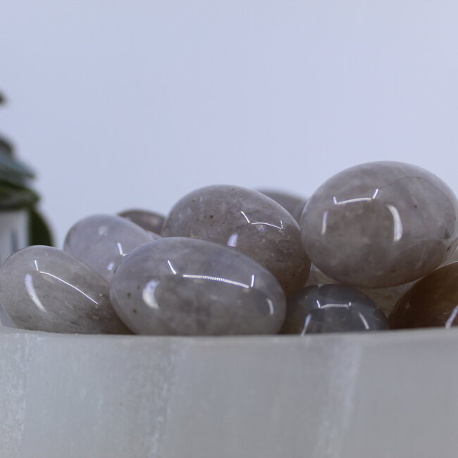 Blue Rose Quartz - Tumbled (Large)