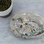 Green Abalone Smudge Sage Shell - 4-5"