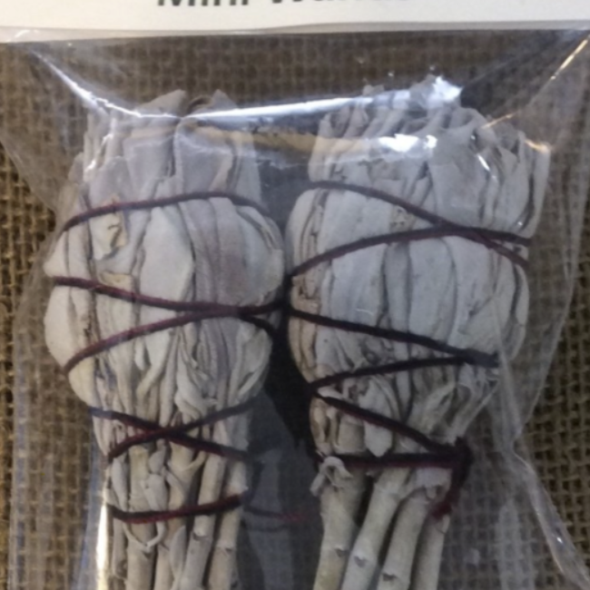 White Sage Mini Smudge Stick- 2 Pack -Full Moon Farms