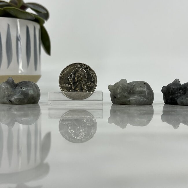 Labradorite Sleeping Cat Figurine- Small Animal Carving Statue 1.5"