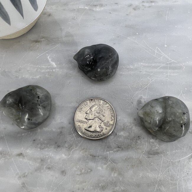 Labradorite Sleeping Cat Figurine- Small Animal Carving Statue 1.5"