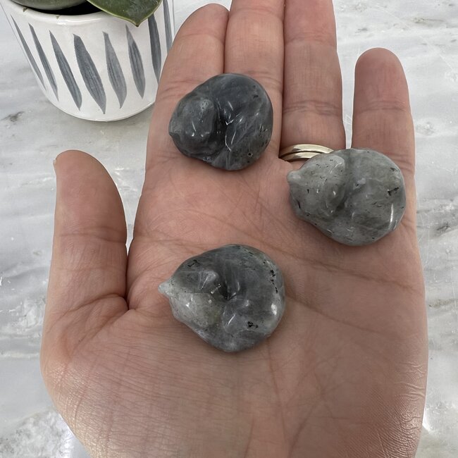 Labradorite Sleeping Cat Figurine- Small Animal Carving Statue 1.5"