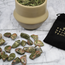 Unakite Jasper Runes Set (Mini) - Velvet Bag Divination Tool Elder Futhark Casting Nordic