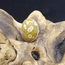 Ocean (Sea Sediment) Jasper Ring - Size 12 - Sterling Silver Large Oval