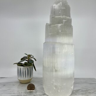Selenite (Satin Spar Gypsum) Single Iceberg Tower Lamp -12" (Cord & Bulb Included)