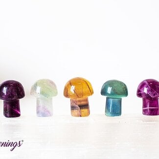 Rainbow Fluorite Mushroom- Mini